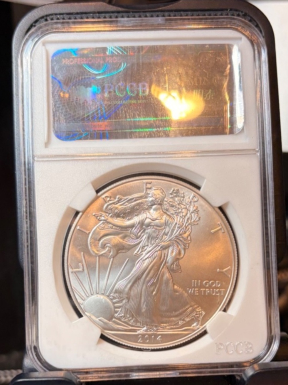 2014 Silver Eagle Dollar Walking Liberty Coin 1oz #206368290551